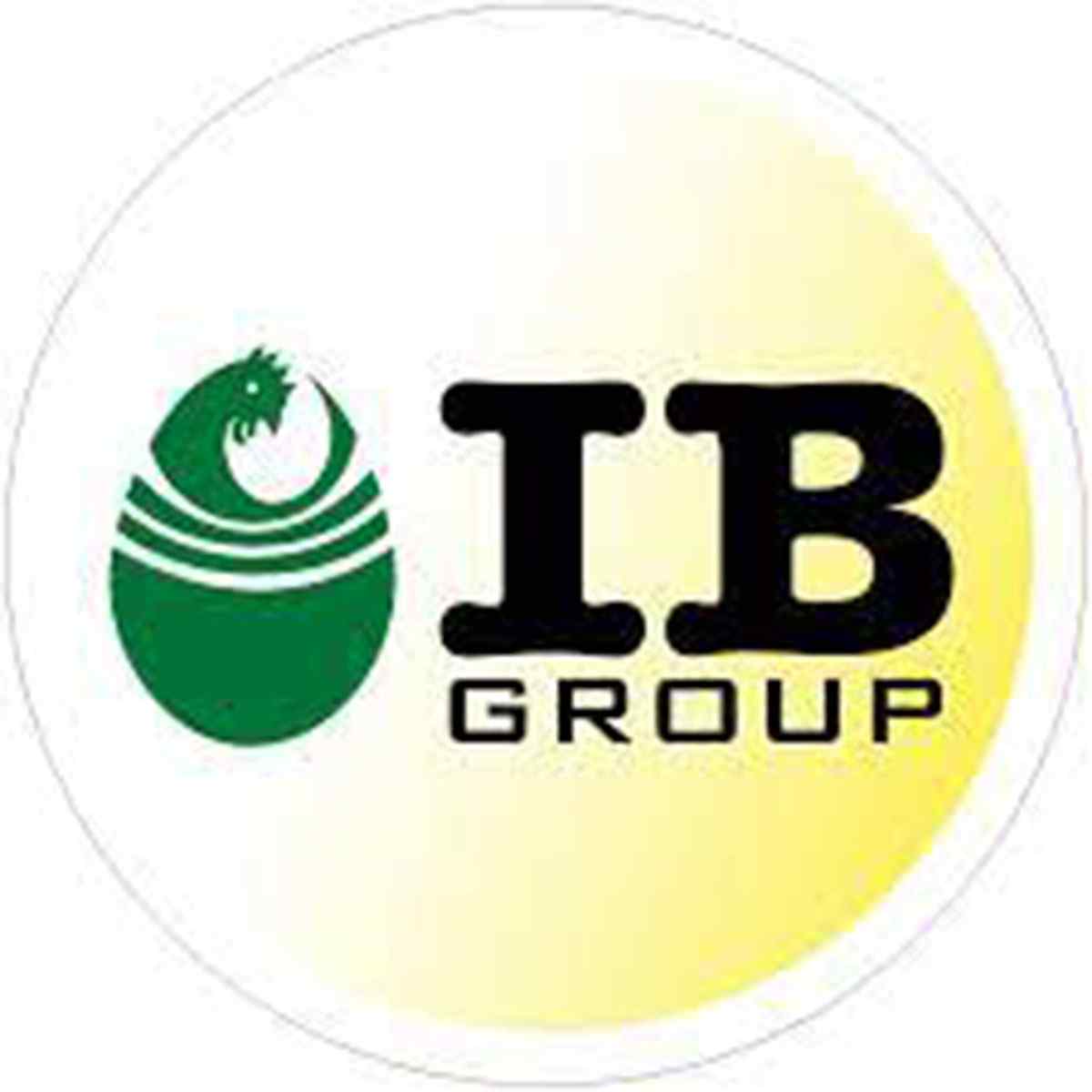 IB Group